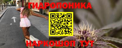 СК Кинель