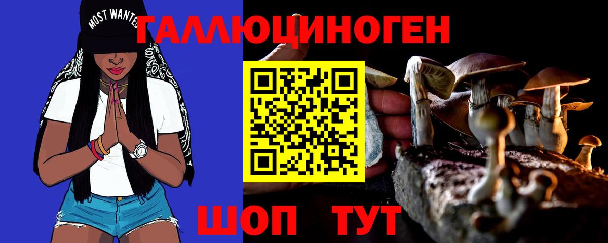 Галлюциногенные грибы GOLDEN TEACHER  Вход с VPN  Красный Сулин  Псилоцибиновые грибы мухоморы 